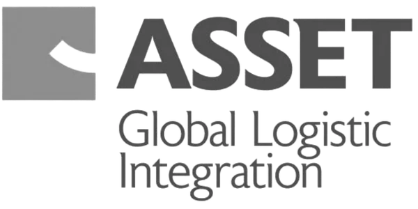 Asset Grup Gümrük Müşavirliği Lojistik
