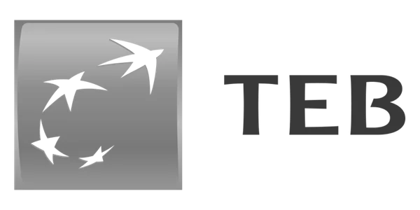 TEB